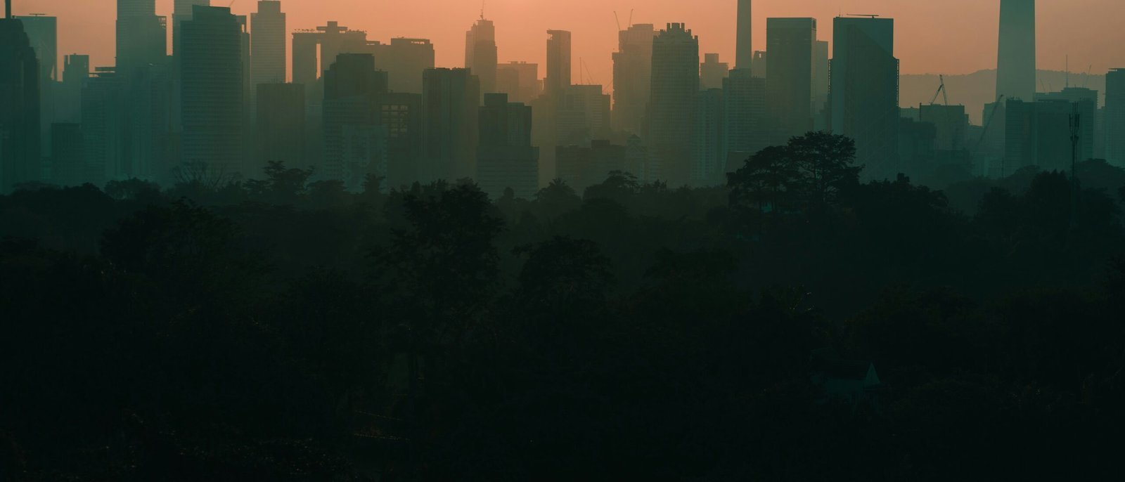 silhouette of city with high-rise buildings